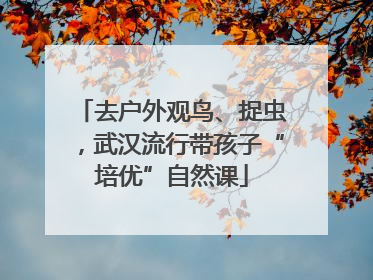 去户外观鸟、捉虫，武汉流行带孩子“培优”自然课