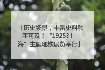 历史场景，丰富史料触手可及！“1925?上海”主题地铁展览举行