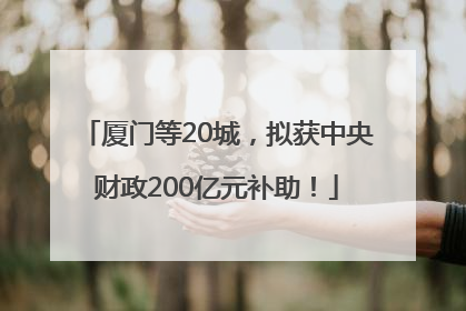 厦门等20城，拟获中央财政200亿元补助！