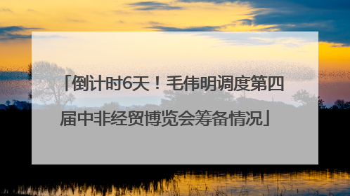倒计时6天！毛伟明调度第四届中非经贸博览会筹备情况