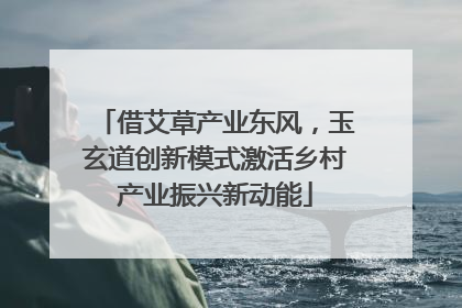 借艾草产业东风，玉玄道创新模式激活乡村产业振兴新动能
