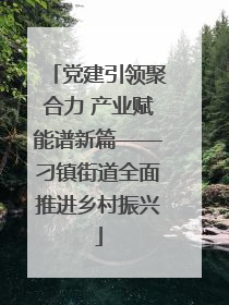 党建引领聚合力 产业赋能谱新篇——刁镇街道全面推进乡村振兴