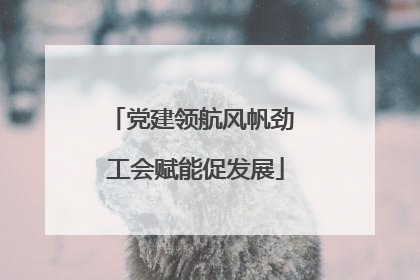 党建领航风帆劲 工会赋能促发展