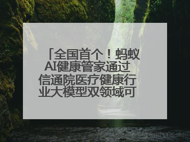 全国首个！蚂蚁AI健康管家通过信通院医疗健康行业大模型双领域可信评估