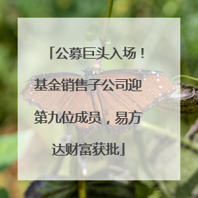 公募巨头入场！基金销售子公司迎第九位成员，易方达财富获批