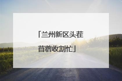 兰州新区头茬苜蓿收割忙