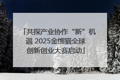 共探产业协作“新”机遇 2025金熊猫全球创新创业大赛启动