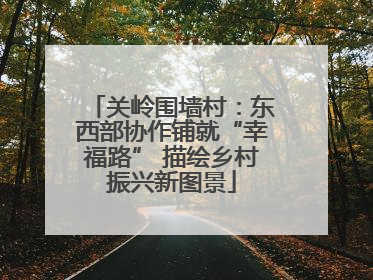 关岭围墙村：东西部协作铺就“幸福路” 描绘乡村振兴新图景