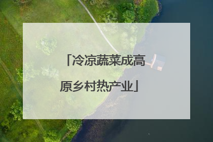 冷凉蔬菜成高原乡村热产业
