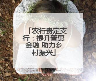 农行贵定支行：提升普惠金融 助力乡村振兴