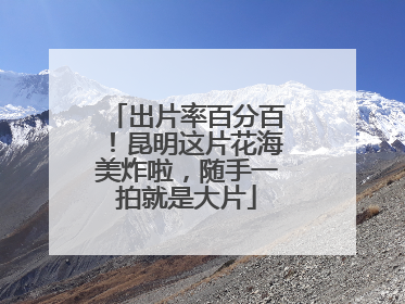 出片率百分百！昆明这片花海美炸啦，随手一拍就是大片