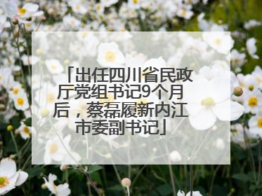 出任四川省民政厅党组书记9个月后，蔡磊履新内江市委副书记