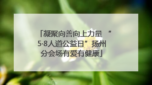 凝聚向善向上力量 “5·8人道公益日”扬州分会场有爱有健康