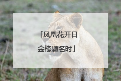 凤凰花开日 金榜题名时