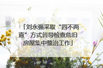 刘永强采取“四不两直”方式督导检查危旧房屋集中整治工作