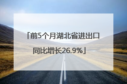 前5个月湖北省进出口同比增长26.9%