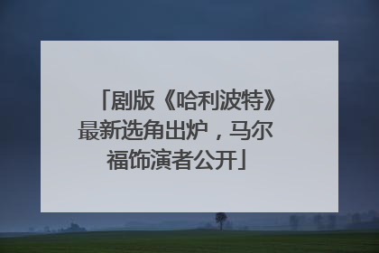 剧版《哈利波特》最新选角出炉，马尔福饰演者公开