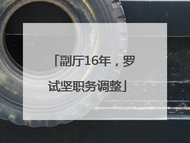 副厅16年，罗试坚职务调整