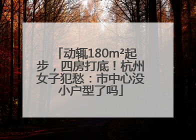 动辄180m²起步，四房打底！杭州女子犯愁：市中心没小户型了吗