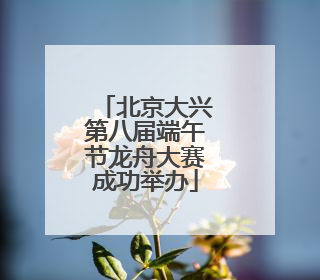 北京大兴第八届端午节龙舟大赛成功举办