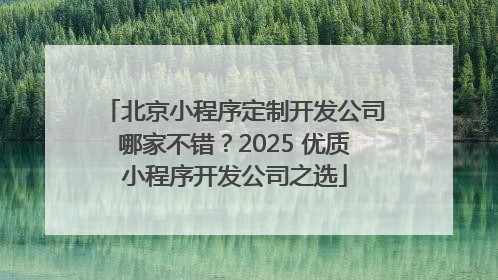 北京小程序定制开发公司哪家不错？2025 优质小程序开发公司之选
