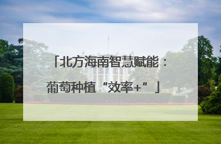 北方海南智慧赋能：葡萄种植“效率+”