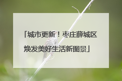 城市更新！枣庄薛城区焕发美好生活新图景