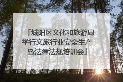 城阳区文化和旅游局举行文旅行业安全生产暨法律法规培训会