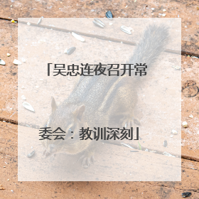 吴忠连夜召开常委会：教训深刻