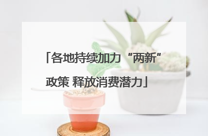 各地持续加力“两新”政策 释放消费潜力