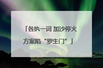 各执一词 加沙停火方案陷“罗生门”