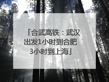 合武高铁：武汉出发1小时到合肥3小时到上海