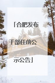 合肥发布干部任前公示公告