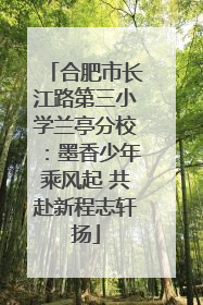 合肥市长江路第三小学兰亭分校：墨香少年乘风起 共赴新程志轩扬