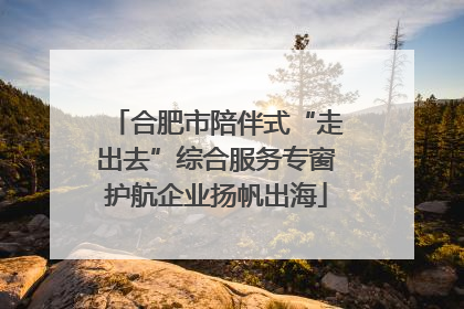 合肥市陪伴式“走出去”综合服务专窗护航企业扬帆出海
