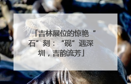 吉林展位的惊艳“石”刻：“砚”遇深圳，吉韵流芳