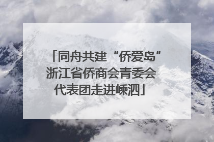 同舟共建“侨爱岛” 浙江省侨商会青委会代表团走进嵊泗
