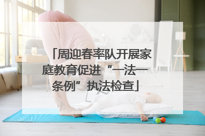 周迎春率队开展家庭教育促进“一法一条例”执法检查