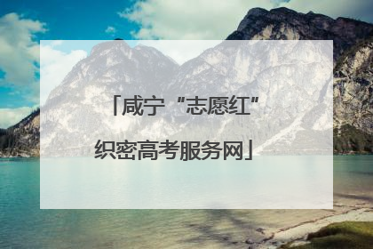咸宁“志愿红”织密高考服务网