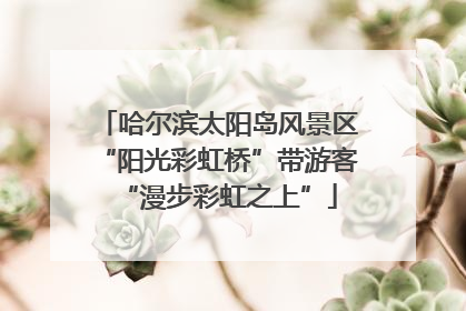 哈尔滨太阳岛风景区“阳光彩虹桥”带游客“漫步彩虹之上”