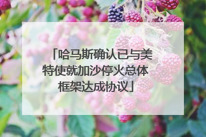 哈马斯确认已与美特使就加沙停火总体框架达成协议