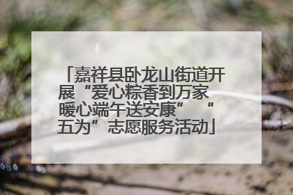 嘉祥县卧龙山街道开展“爱心粽香到万家 暖心端午送安康” “五为”志愿服务活动