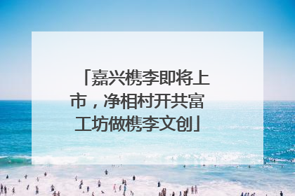 嘉兴槜李即将上市，净相村开共富工坊做槜李文创