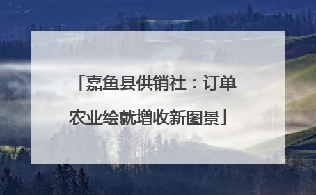 嘉鱼县供销社：订单农业绘就增收新图景