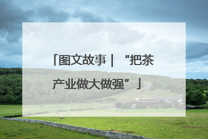 图文故事｜“把茶产业做大做强”