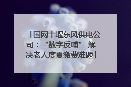 国网十堰东风供电公司：“数字反哺” 解决老人度夏缴费难题