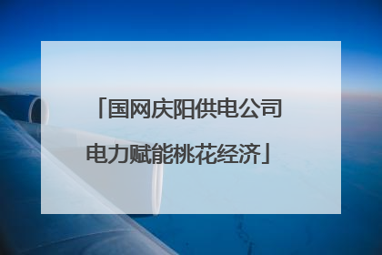 国网庆阳供电公司电力赋能桃花经济