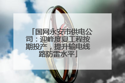 国网永安市供电公司：迎峰度夏工程按期投产，提升输电线路防雷水平