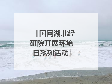 国网湖北经研院开展环境日系列活动