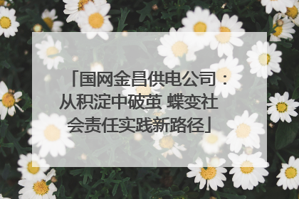 国网金昌供电公司：从积淀中破茧 蝶变社会责任实践新路径